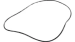 O-ring