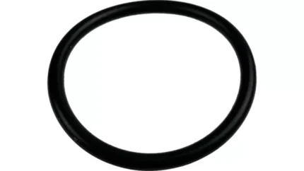 O-ring