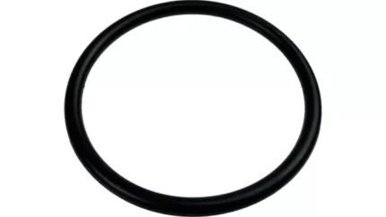 O-ring