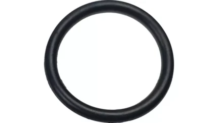 O-ring