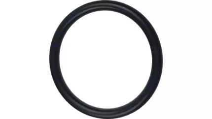 O-ring
