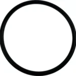 O-ring