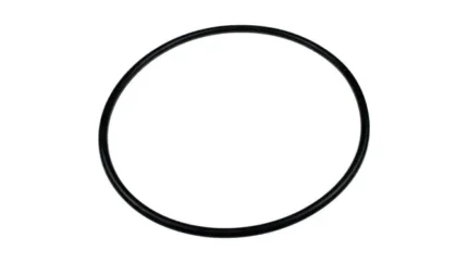 O-ring