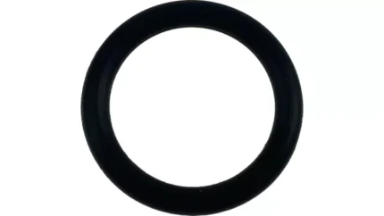 O-ring