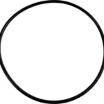 O-ring