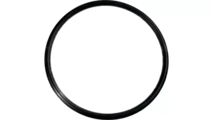 O-ring