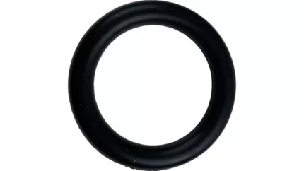 O-ring