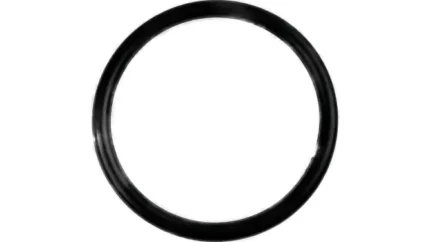 O-ring