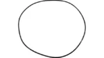 O-ring