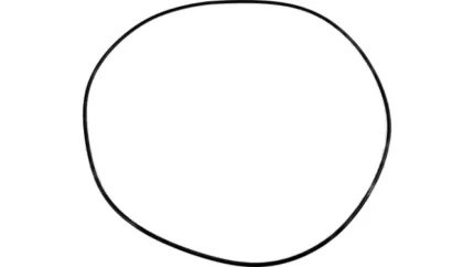 O-ring