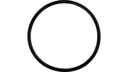 O-ring