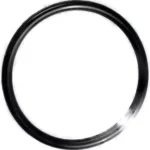 O-ring