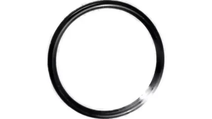 O-ring