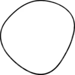 O-ring