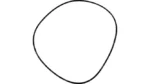 O-ring