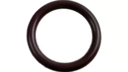 O-ring