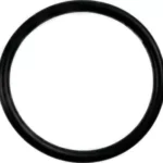 O-ring