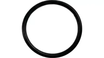 O-ring