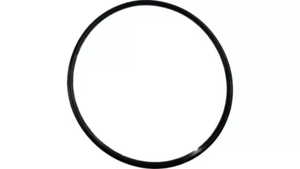 O-ring
