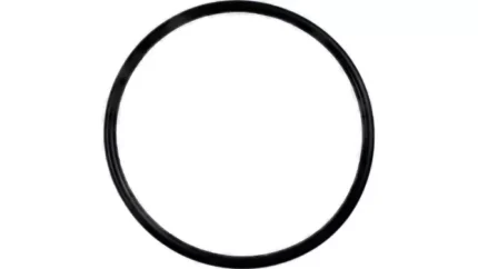 O-ring