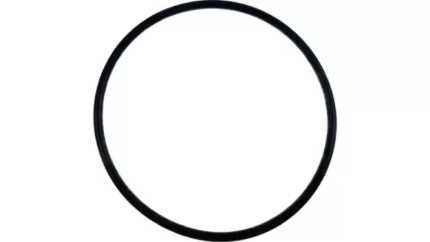 O-ring