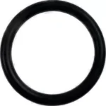 O-ring