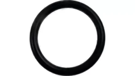 O-ring