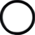 O-ring (zamiennik)