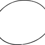 O-ring