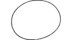 O-ring