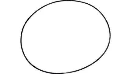 O-ring
