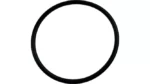 O-ring