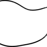 O-ring