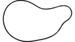 O-ring