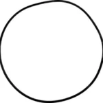 O-ring