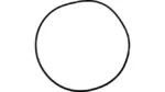 O-ring