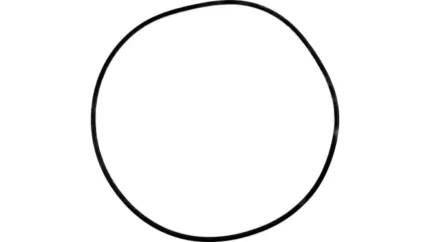 O-ring