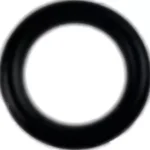 O-ring