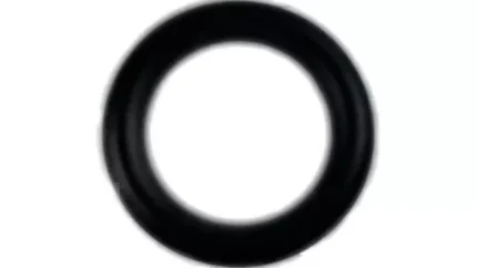 O-ring