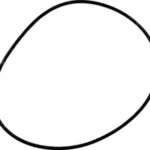 O-ring (zamiennik)