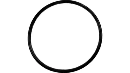 O-ring