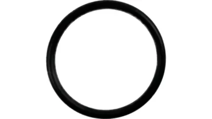 O-ring
