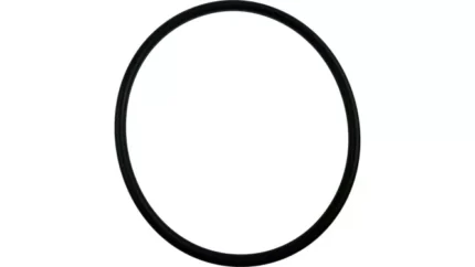 O-ring