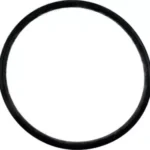 O-ring