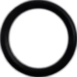 O-ring