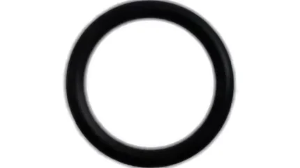 O-ring