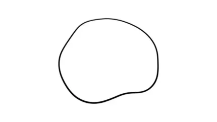 O-ring
