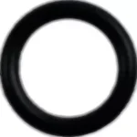 O-ring