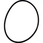 O-ring