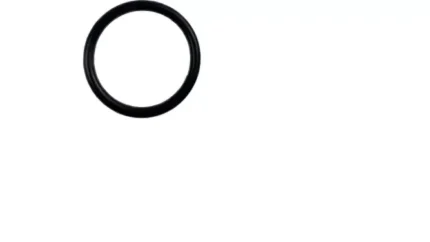 O-ring